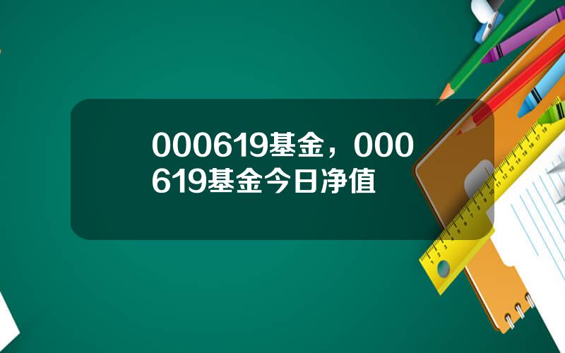 000619基金，000619基金今日净值