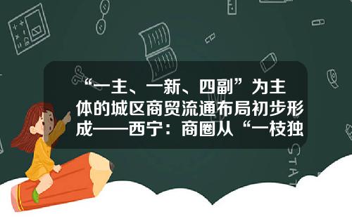 “一主、一新、四副”为主体的城区商贸流通布局初步形成——西宁：商圈从“一枝独秀”到“多点开花”-五矿工程技术有限责任公司三里屯