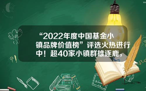 “2022年度中国基金小镇品牌价值榜”评选火热进行中！超40家小镇群雄逐鹿，榜单将于12月正式揭晓-基金小镇