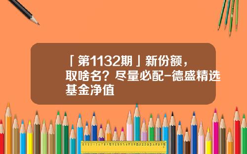 「第1132期」新份额，取啥名？尽量必配-德盛精选基金净值