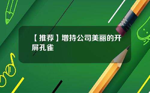 【推荐】增持公司美丽的开屏孔雀