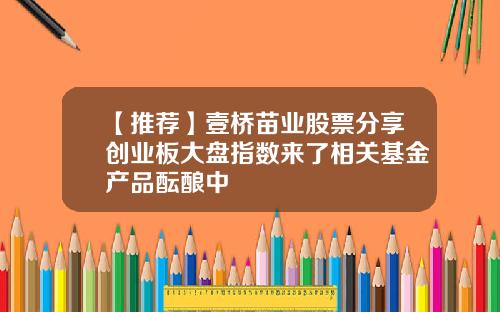 【推荐】壹桥苗业股票分享创业板大盘指数来了相关基金产品酝酿中