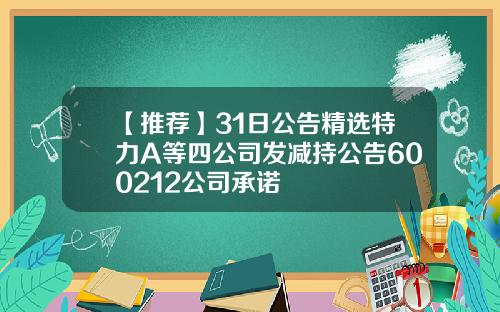 【推荐】31日公告精选特力A等四公司发减持公告600212公司承诺