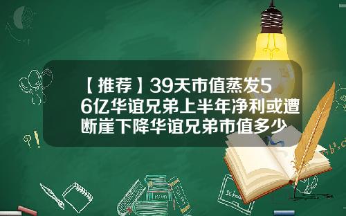 【推荐】39天市值蒸发56亿华谊兄弟上半年净利或遭断崖下降华谊兄弟市值多少