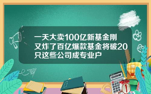 一天大卖100亿新基金刚又炸了百亿爆款基金将破20只这些公司成专业户