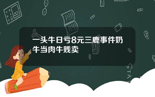 一头牛日亏8元三鹿事件奶牛当肉牛贱卖
