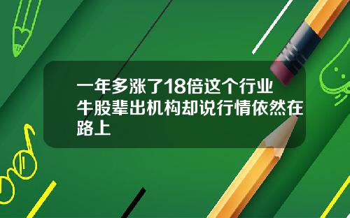 一年多涨了18倍这个行业牛股辈出机构却说行情依然在路上