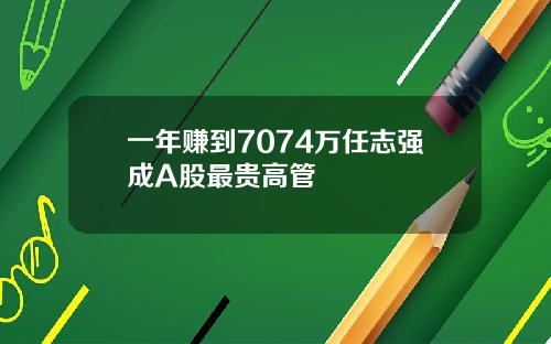 一年赚到7074万任志强成A股最贵高管