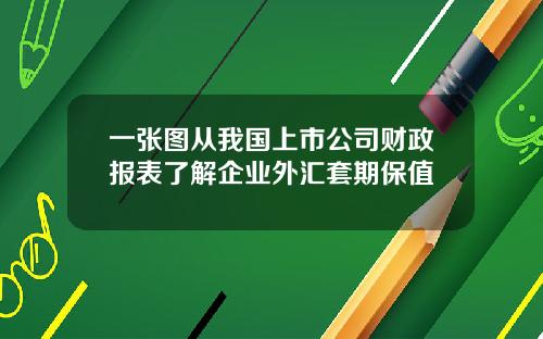 一张图从我国上市公司财政报表了解企业外汇套期保值