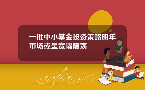 一批中小基金投资策略明年市场或呈宽幅震荡
