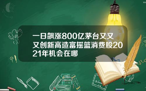 一日飙涨800亿茅台又又又创新高造富摇篮消费股2021年机会在哪
