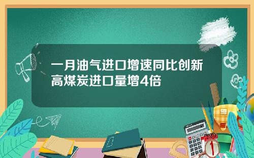 一月油气进口增速同比创新高煤炭进口量增4倍