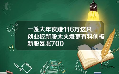 一签大年夜赚116万这只创业板新股太火爆更有科创板新股暴涨700