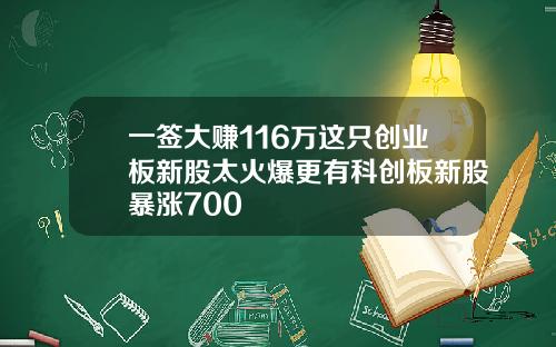 一签大赚116万这只创业板新股太火爆更有科创板新股暴涨700