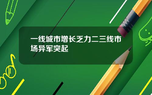 一线城市增长乏力二三线市场异军突起