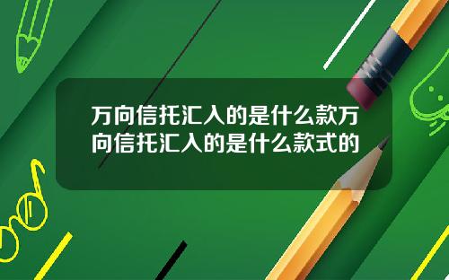 万向信托汇入的是什么款万向信托汇入的是什么款式的