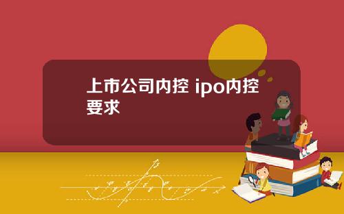 上市公司内控 ipo内控要求