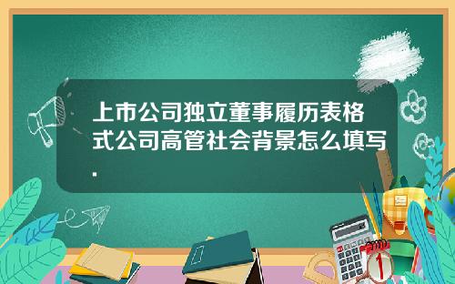 上市公司独立董事履历表格式公司高管社会背景怎么填写.
