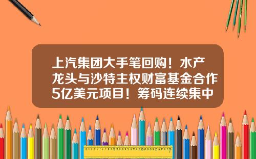 上汽集团大手笔回购！水产龙头与沙特主权财富基金合作5亿美元项目！筹码连续集中股出炉（附股）-国内权威的股票资讯