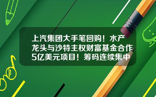 上汽集团大手笔回购！水产龙头与沙特主权财富基金合作5亿美元项目！筹码连续集中股出炉（附股）-有什么收费股票资讯