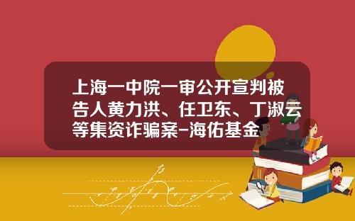 上海一中院一审公开宣判被告人黄力洪、任卫东、丁淑云等集资诈骗案-海佑基金