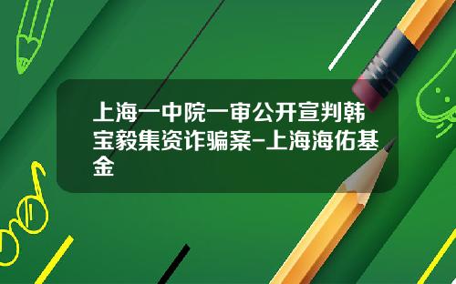 上海一中院一审公开宣判韩宝毅集资诈骗案-上海海佑基金