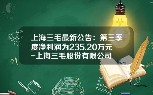 上海三毛最新公告：第三季度净利润为235.20万元-上海三毛股份有限公司
