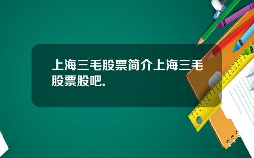 上海三毛股票简介上海三毛股票股吧.