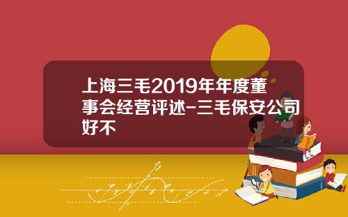上海三毛2019年年度董事会经营评述-三毛保安公司好不