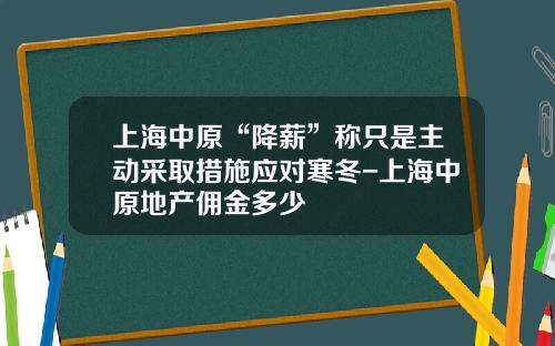 上海中原“降薪”称只是主动采取措施应对寒冬-上海中原地产佣金多少