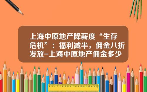 上海中原地产降薪度“生存危机”：福利减半，佣金八折发放-上海中原地产佣金多少