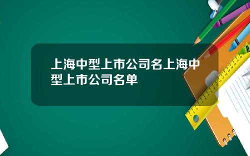 上海中型上市公司名上海中型上市公司名单