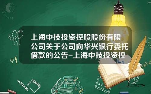 上海中技投资控股股份有限公司关于公司向华兴银行委托借款的公告-上海中技投资控股股份有限公司