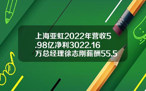 上海亚虹2022年营收5.98亿净利3022.16万总经理徐志刚薪酬55.51万-上海亚虹股份有限公司