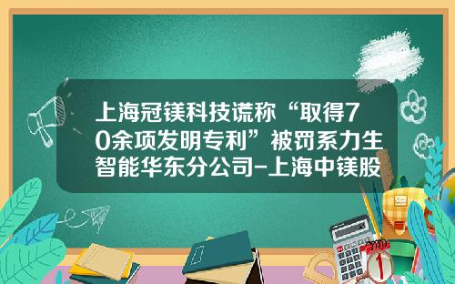上海冠镁科技谎称“取得70余项发明专利”被罚系力生智能华东分公司-上海中镁股份有限公司