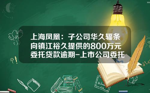 上海凤凰：子公司华久辐条向镇江裕久提供的800万元委托贷款逾期-上市公司委托贷款现状