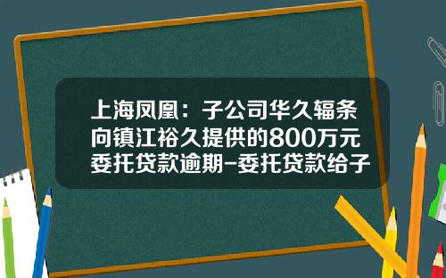 上海凤凰：子公司华久辐条向镇江裕久提供的800万元委托贷款逾期-委托贷款给子公司