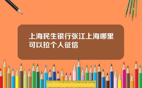 上海民生银行张江上海哪里可以拉个人征信