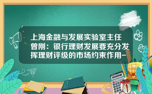 上海金融与发展实验室主任曾刚：银行理财发展要充分发挥理财评级的市场约束作用-公司理财的作用