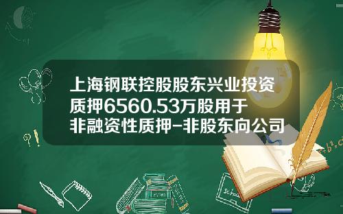 上海钢联控股股东兴业投资质押6560.53万股用于非融资性质押-非股东向公司投资