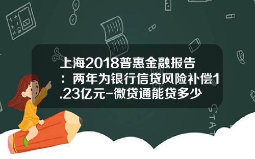 上海2018普惠金融报告：两年为银行信贷风险补偿1.23亿元-微贷通能贷多少钱