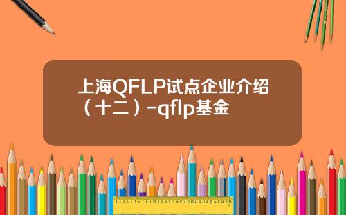 上海QFLP试点企业介绍(十二)-qflp基金