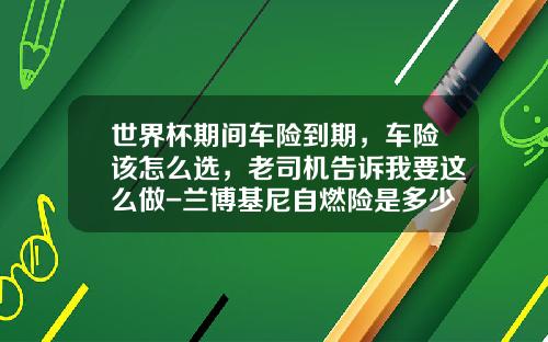 世界杯期间车险到期，车险该怎么选，老司机告诉我要这么做-兰博基尼自燃险是多少【新闻】.