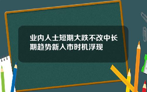 业内人士短期大跌不改中长期趋势新入市时机浮现
