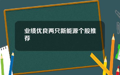 业绩优良两只新能源个股推荐