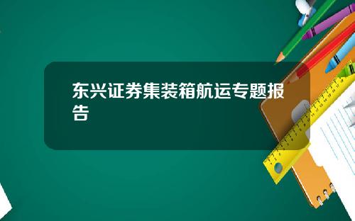 东兴证券集装箱航运专题报告