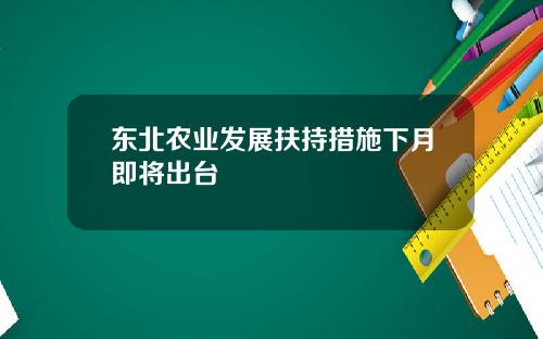 东北农业发展扶持措施下月即将出台