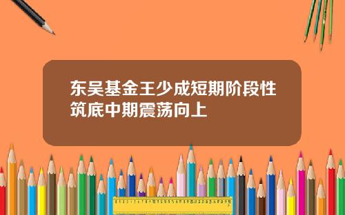 东吴基金王少成短期阶段性筑底中期震荡向上
