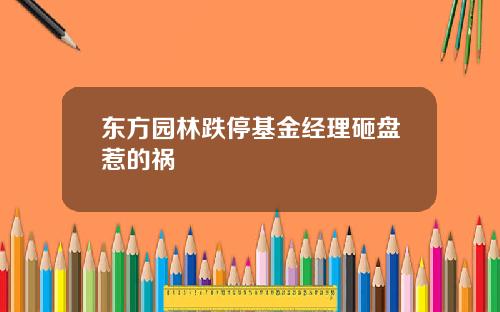 东方园林跌停基金经理砸盘惹的祸