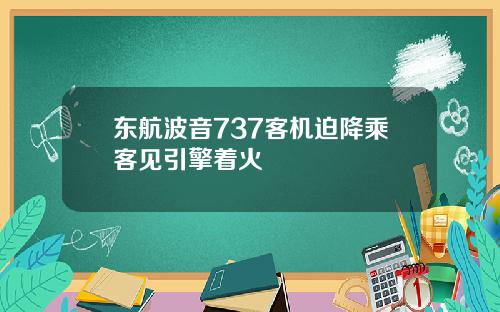 东航波音737客机迫降乘客见引擎着火